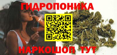мдпв Волгодонск