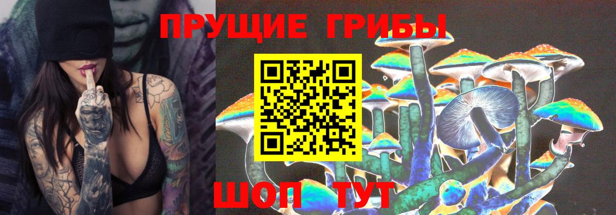 Псилоцибиновые грибы MAGIC MUSHROOMS Кудымкар