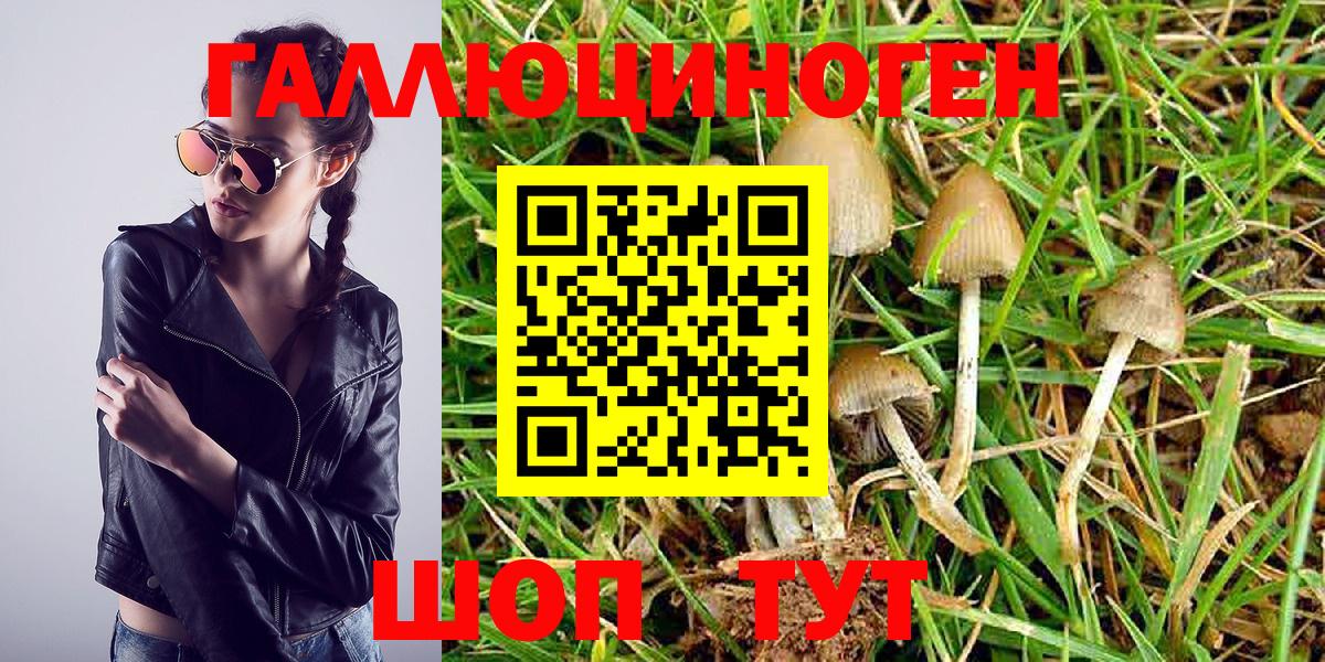 купить  цена  Галлюциногенные грибы Psilocybe  Кудымкар  Вход с VPN  Псилоцибиновые грибы мицелий 